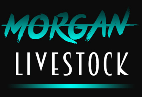 Morgan Livestock