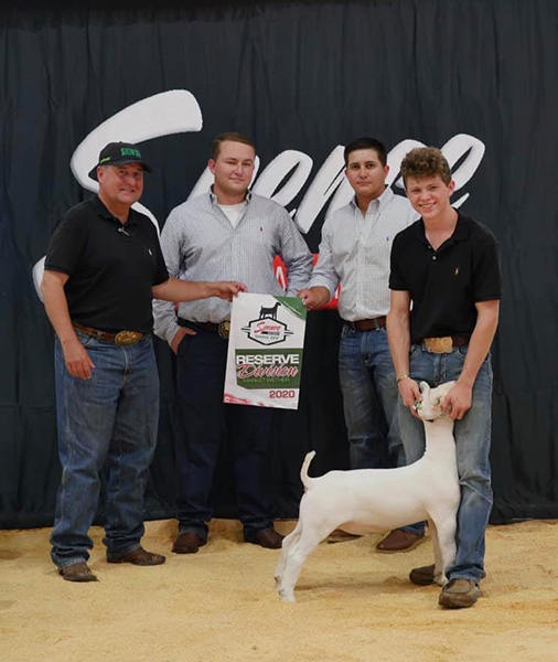 Reserve Division Market Wether