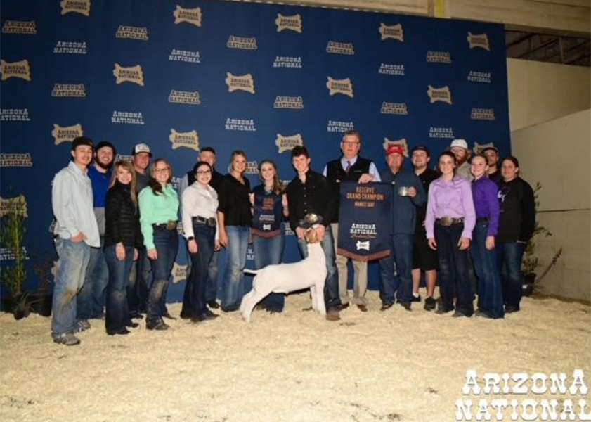 Reserve Champion Market Goat – Arizona National