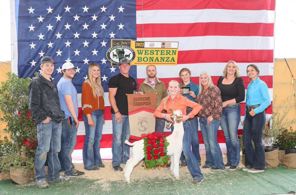 Allan Clone Offspring