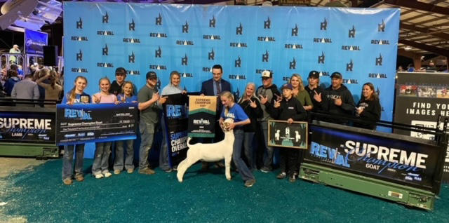 Allan Clone Offspring