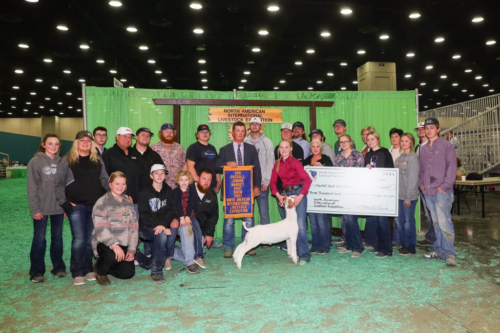 Allan Clone Offspring