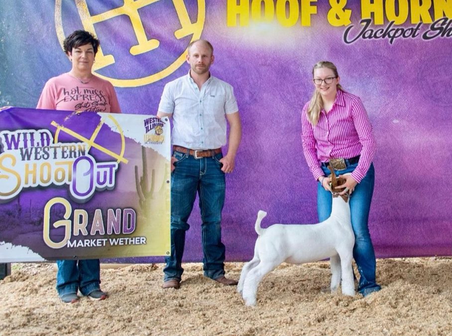 Grand Market Wether, Wild Western Shoot Out