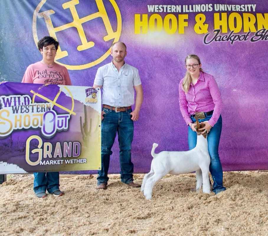 Grand Market Wether, Wild Western Shooto Out