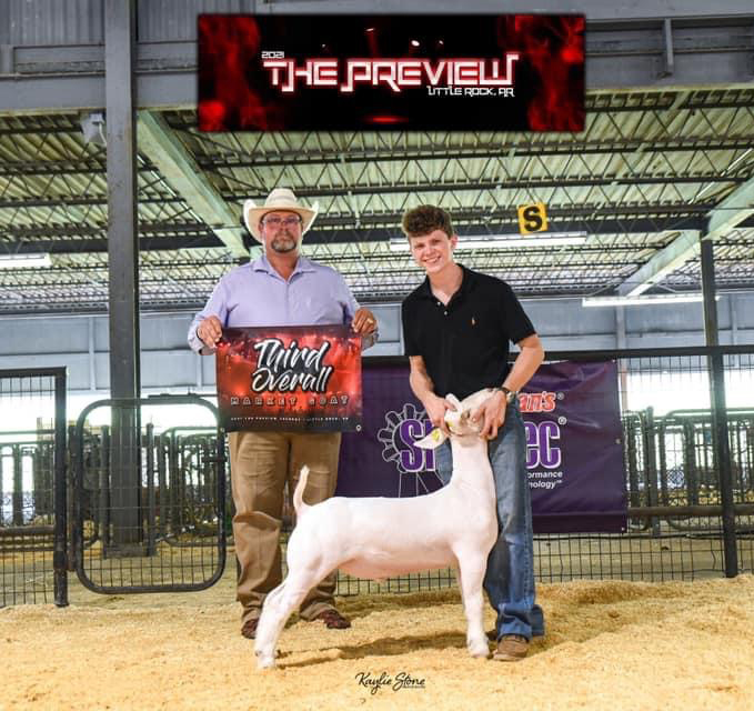 Pulse Rider Offspring