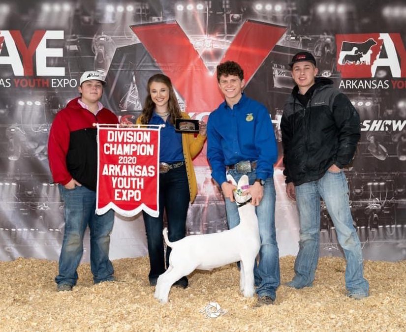 Pulse Rider Offspring