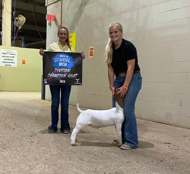 Pulse Rider Offspring